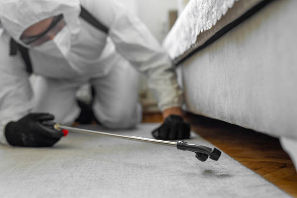 Professional Bed Bug Control technician working in Sullivan County County, NH